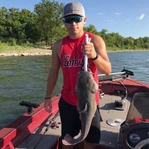 Meet your Posher, Hunter